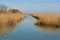 Camargue marsh France