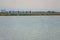 Camargue Pink Flamingo Pond Horses