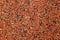 Camargue red rice grains background