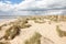 Camber sands, Camber: dunes and the beach