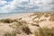 Camber sands, Camber: dunes and the beach