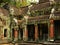 Cambodia. abandoned temple TA Prohm