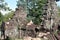 Cambodia. Banteay Prei temple. Siem Reap city. Siem Reap province.