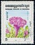 CAMBODIA - CIRCA 1983: stamp shows flowering plant Plumed cockscomb (Celosia argentea, Celosia cristata), flora