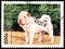 CAMBODIA - CIRCA 1997: postage stamp, printed in Cambodia, shows a Shar-pei Chinese fighting dog