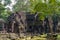 Cambodia. The old ruins of Banteay Kdei Temple