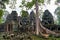 Cambodia. The old ruins of Banteay Kdei Temple with a banyan tree