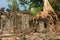 Cambodia, Siem Reap, Angkor, Preah Khan, Hindu Buddhist temple