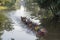 CAMBODIA SIEM REAP CITY RIVER LONGBOAT