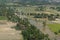 CAMBODIA SIEM REAP LANDSCAPE RICEFIELD