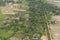 CAMBODIA SIEM REAP LANDSCAPE RICEFIELD