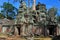Cambodia - Ta Prohm temple