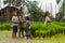 Cambodian boys at a rice farm