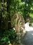 Cambodian brigde with a snake in Paris