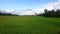 Cambodian countryside, green Rice field, forest in the background