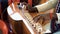 Cambodian man plying on traditional Khmer instrument called Chakhe