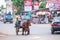 Cambodian man riding a local horse carriage on the road to Phnom Phenh.