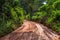 Cambodian mud road