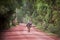 Cambodian senior woman walking in the red earth road with tools for work