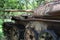 Cambodian War Museum - Tank