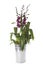 Cambria orchid table decoration