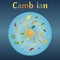 Cambrian explosion in the history of the Earth.
