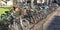 Cambridge, England. Group of bicycles parked outside the university