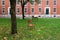 Cambridge park in the university