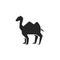 Camel animal black icon isolated on a white background