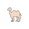 Camel animal flat and thin line icon