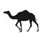 Camel Animal silhouette Clipart vector