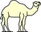 Camel animal vector unique