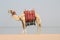 Camel on beach. Egypt