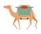 Camel with Bridle and Saddle, Two Humped Desert Animal with Load, Side View Vector Illustration