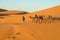 Camel caravan in Africa sand desert dunes