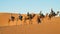 Camel caravan in Africa sand desert dunes