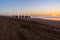 Camel caravan at beach at sunset . Essaouira.