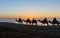 Camel caravan at beach at sunset Essaouira
