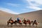 Camel caravan in the desert