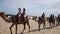 Camel Caravan on Desert