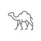 Camel, caravan, desert animal line icon.