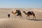 Camel caravan in desert Sahara