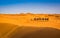 Camel caravan going through the sand dunes in beautiful Sahara Desert. Amazing view nature of Africa. Artistic picture. Beauty