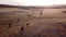 Camel caravan going through the sand dunes in the Desert.