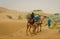 Camel caravan going through the sand dunes in desert, Rajasthan, India