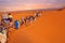 Camel caravan going through the sand dunes in the Sahara Desert, Morocco.