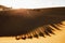 Camel caravan group in desert sand dunes at sunset light with beautiful shadow