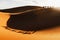 Camel caravan group in desert sand dunes at sunset light with beautiful shadow