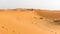 Camel caravan in Merzouga, Sahara Desert, Morocco