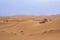 Camel caravan in the sahara desert